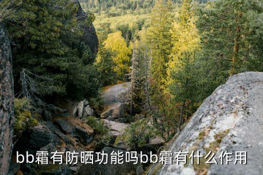 bb霜有防晒功能吗bb霜有什么作用