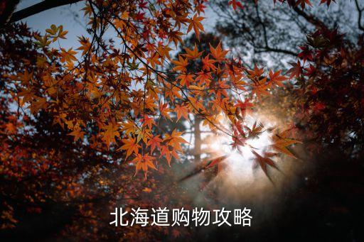 北海道购物攻略