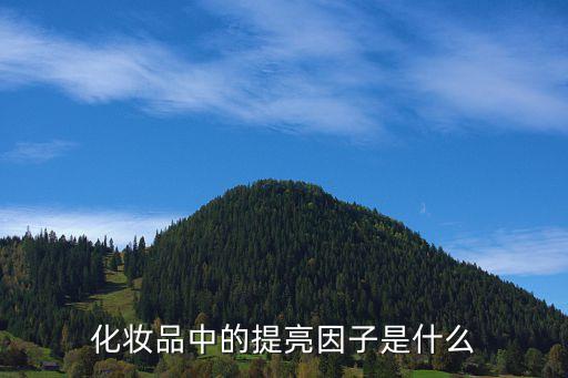 化妆品中的提亮因子是什么