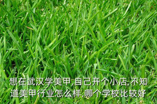 想在武汉学美甲,自己开个小店,不知道美甲行业怎么样,哪个学校比较好