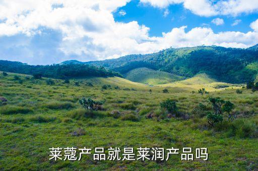 莱蔻产品就是莱润产品吗