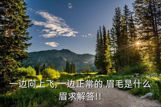 一边向上飞,一边正常的 眉毛是什么眉求解答!!