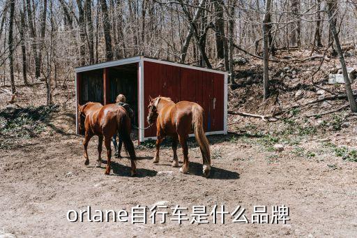 幽兰是哪个旗下的品牌,雪顶幽兰是什么品牌旗下的