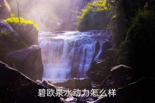 碧欧泉水动力怎么样