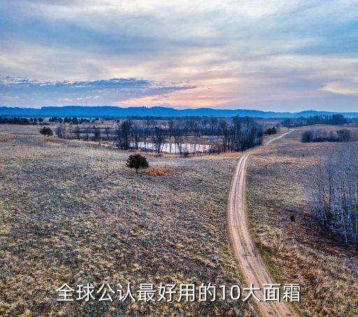 全球公认最好用的10大面霜