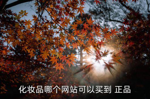 化妆品哪个网站可以买到 正品