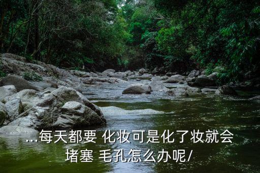 ...每天都要 化妆可是化了妆就会堵塞 毛孔怎么办呢/