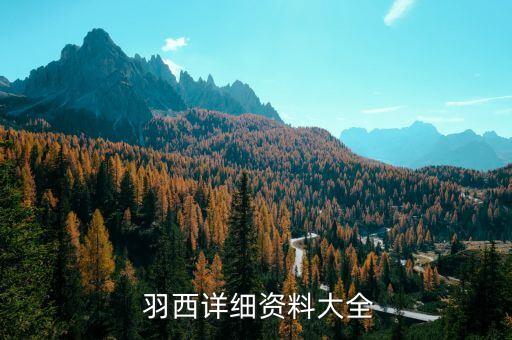  羽西详细资料大全