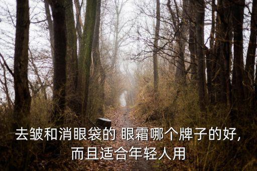 去皱和消眼袋的 眼霜哪个牌子的好,而且适合年轻人用