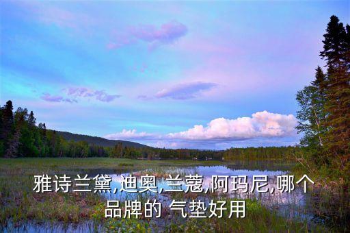 雅诗兰黛,迪奥,兰蔻,阿玛尼,哪个品牌的 气垫好用