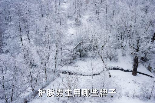 护肤男生用哪些牌子