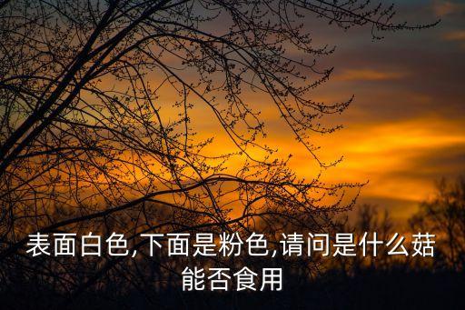表面白色,下面是粉色,请问是什么菇能否食用