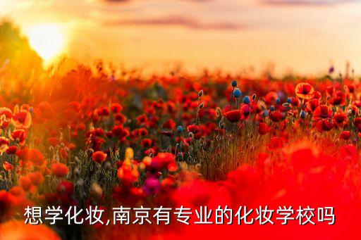 想学化妆,南京有专业的化妆学校吗