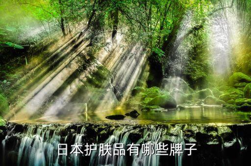 日本的化妆品什么铂的牌子,日本化妆品精华液什么牌子好