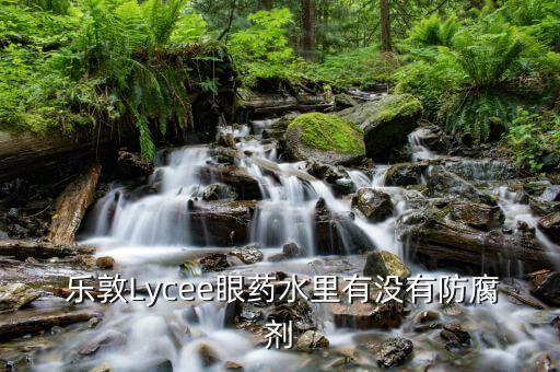  乐敦Lycee眼药水里有没有防腐剂