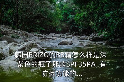 韩国BRIZO的BB霜怎么样是深 紫色的瓶子那款SPF35PA  有防晒功能的...