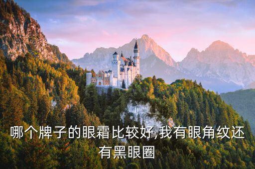 哪个牌子的眼霜比较好,我有眼角纹还有黑眼圈