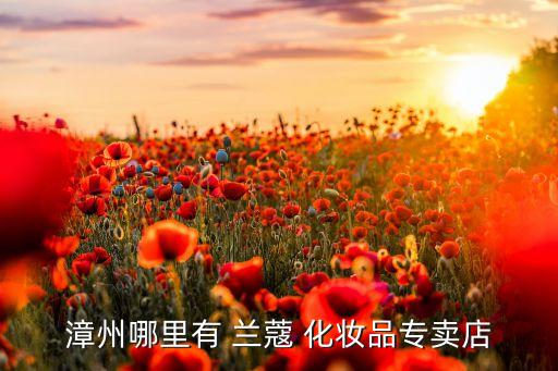 兰蔻化妆盘哪里能买到