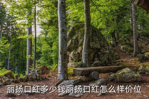丽扬口红多少钱丽扬口红怎么样价位