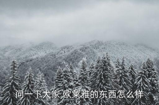 问一下大家 欧莱雅的东西怎么样