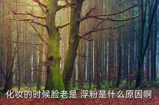 化妆的时候脸老是 浮粉是什么原因啊