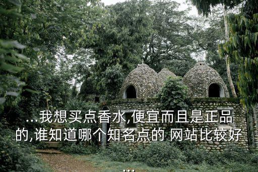 ...我想买点香水,便宜而且是正品的,谁知道哪个知名点的 网站比较好...