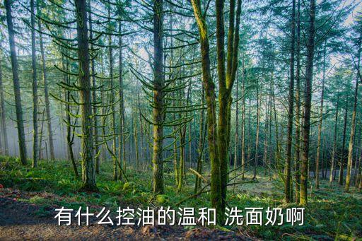 有什么控油的温和 洗面奶啊
