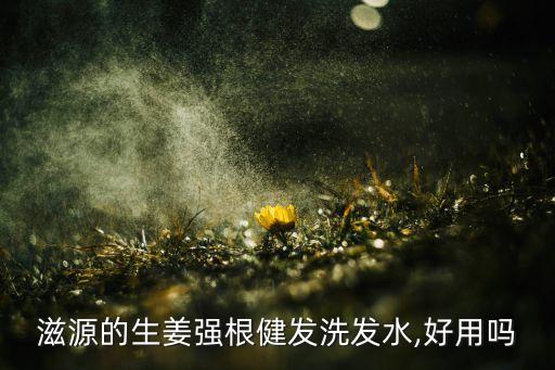 滋源的生姜强根健发洗发水,好用吗