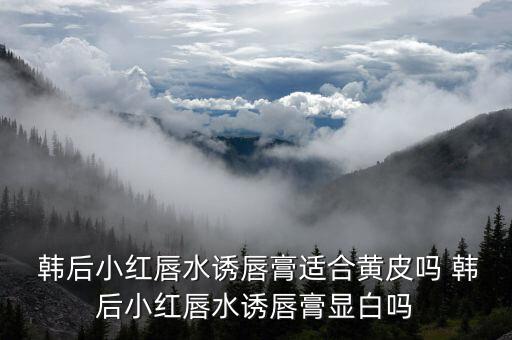  韩后小红唇水诱唇膏适合黄皮吗 韩后小红唇水诱唇膏显白吗