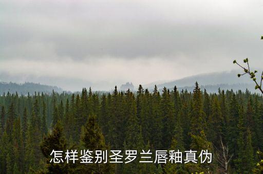 怎样鉴别圣罗兰唇釉真伪