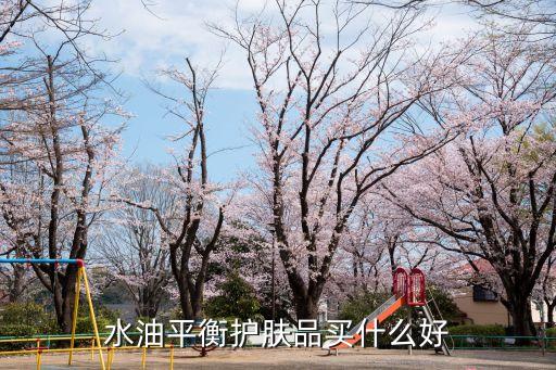 水油平衡护肤品买什么好