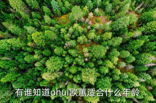 有谁知道ohui欧蕙适合什么年龄