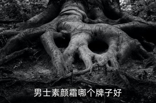 男士素颜霜哪个牌子好
