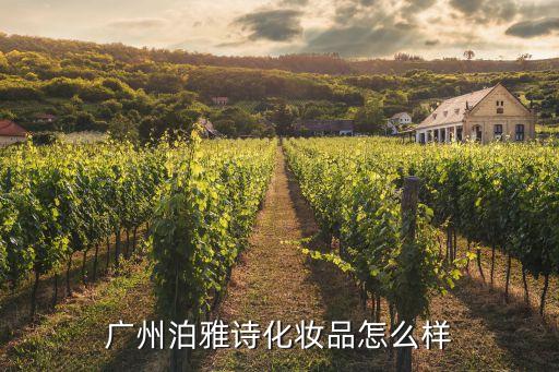 广州泊雅诗化妆品怎么样