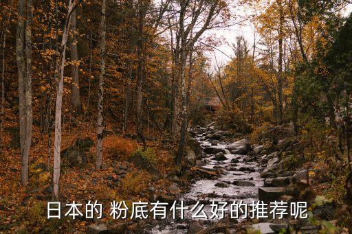 日本的 粉底有什么好的推荐呢