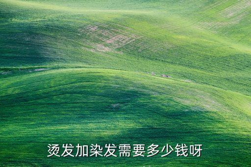 烫发加染发需要多少钱呀