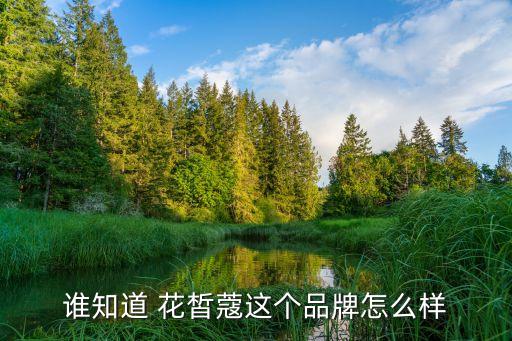 花皙蔻隔离霜怎么样