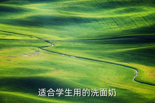适合学生用的洗面奶