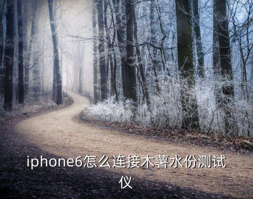 iphone6怎么连接木薯水份测试仪