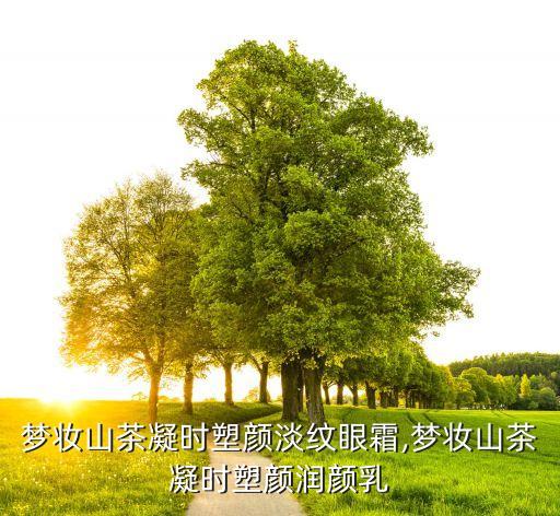 梦妆山茶凝时塑颜淡纹眼霜,梦妆山茶凝时塑颜润颜乳