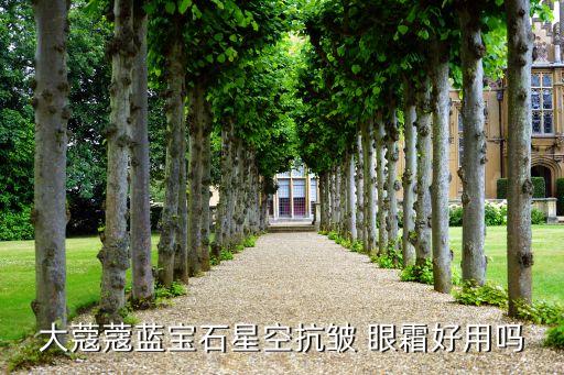 大蔻蔻蓝宝石星空抗皱 眼霜好用吗