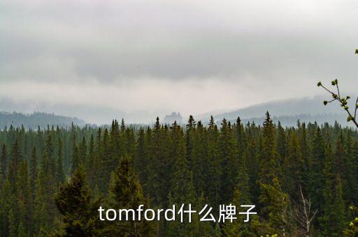 化妆品汤姆福特怎么样,汤姆福特唇红怎么样?
