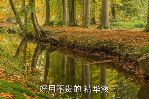 好用不贵的 精华液