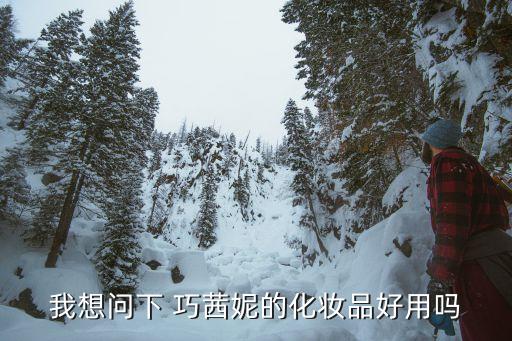 我想问下 巧茜妮的化妆品好用吗