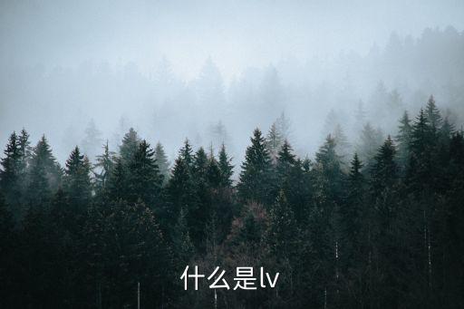 什么是lv