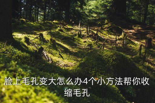 l脸上毛孔粗大怎么办,脸上毛孔粗大用什么方法最有效？