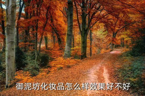  御泥坊化妆品怎么样效果好不好
