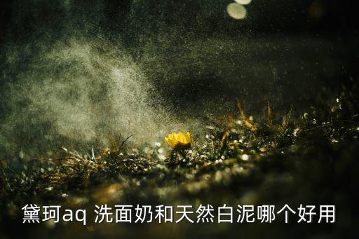 黛珂aq 洗面奶和天然白泥哪个好用