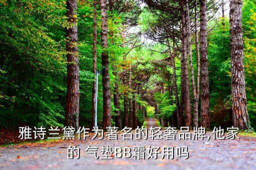  雅诗兰黛作为著名的轻奢品牌,他家的 气垫BB霜好用吗