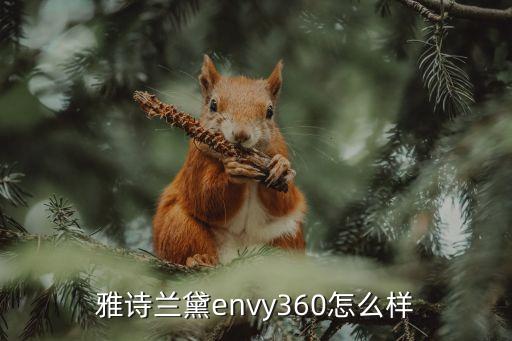 雅诗兰黛envy360怎么样